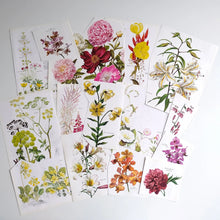 画像をギャラリービューアに読み込む, Collage art kit with vintage photos and ephemera, each kit is unique