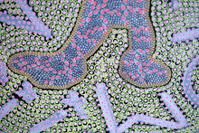 Cargar imagen en el visor de la galería, Altered Mouse Illustration Conceptual Art