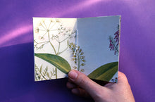 Load image into Gallery viewer, Pocket Art Books - Pack of 5