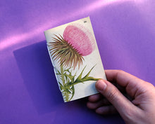 Load image into Gallery viewer, Pocket Art Books - Pack of 5