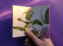 Load image into Gallery viewer, Pocket Art Books - Pack of 5