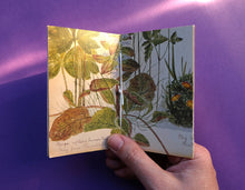 Load image into Gallery viewer, Pocket Art Books - Pack of 5