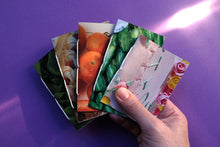 Load image into Gallery viewer, Pocket Art Books - Pack of 5