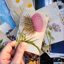 Load image into Gallery viewer, Pocket Art Books - Pack of 5