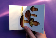 Load image into Gallery viewer, Pocket Art Books - Pack of 5