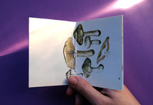 Load image into Gallery viewer, Pocket Art Books - Pack of 5