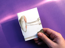 Load image into Gallery viewer, Pocket Art Books - Pack of 5