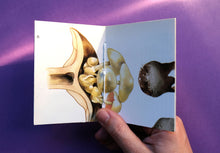 Load image into Gallery viewer, Pocket Art Books - Pack of 5