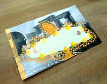 Load image into Gallery viewer, Vintage Collage Postcard Of Chilpancingo City, Messico