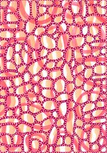 画像をギャラリービューアに読み込む, Salmon Pink, Neon Red And Raspberry Abstract Art