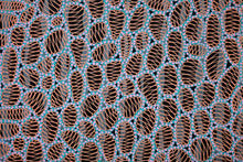 Load image into Gallery viewer, Black Green Orange Abstract Art