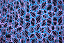 Cargar imagen en el visor de la galería, Black Blue Pink Abstract Art