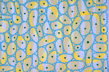 画像をギャラリービューアに読み込む, Yellow And Blue Abstract Art