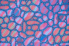 画像をギャラリービューアに読み込む, Neon Rainbow And Blue Abstract Art