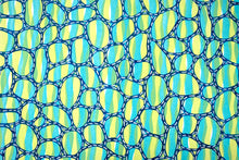 Cargar imagen en el visor de la galería, Blue, Lime Green And Mint Abstract Art