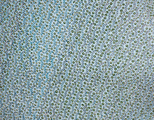 Load image into Gallery viewer, Light Blue And Mint Green Collage On Wood Panel - Naomi Vona Art