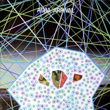 Load image into Gallery viewer, ABBA LP Cover Artwork Collage - Naomi Vona Art