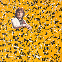 将图片加载到图库查看器,Mustard Yellow LP Cover Artwork Collage - Naomi Vona Art