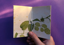 Load image into Gallery viewer, Pocket Art Books - Pack of 5
