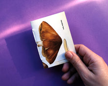 Load image into Gallery viewer, Pocket Art Books - Pack of 5
