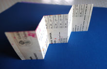 Load image into Gallery viewer, Accordion Art Books
