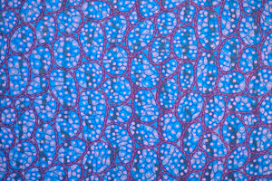 Raspberry Blue Pink Abstract Art