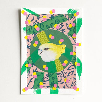 Parrot Art Collage On Paper - Naomi Vona Art