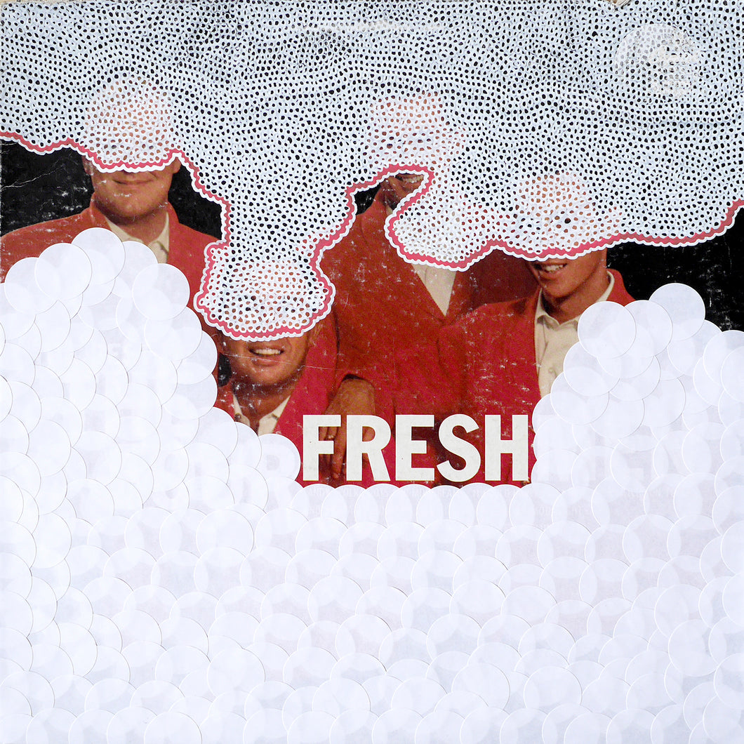 LP Cover Collage Art - Naomi Vona Art