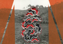 Carica l&#39;immagine nel visualizzatore di Gallery, Red, Black And Grey Art Collage On Vintage Photo - Naomi Vona Art
