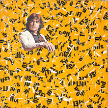 将图片加载到图库查看器，Mustard Yellow LP Cover Artwork Collage - Naomi Vona Art
